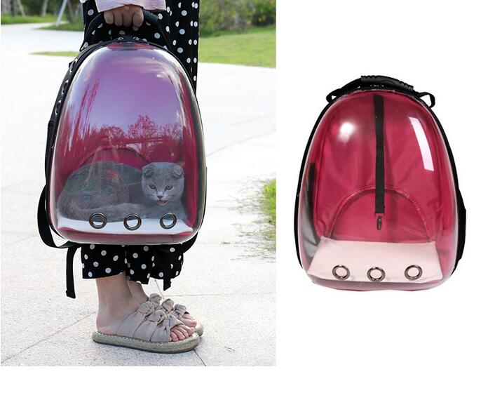 Transparent Pet Carrier Backpack - Bubble Window Travel Bag for Cats & Small Dogs