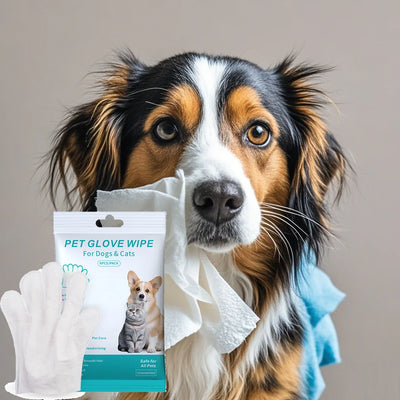 Disposable Pet Grooming Gloves - Bathing & Cleaning Wipes for Cats & Dogs
