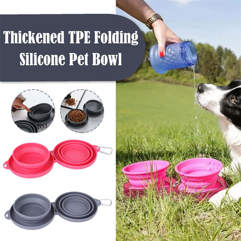 Collapsible Double Pet Bowl - Portable Silicone Travel Food & Water Bowls with Mat
