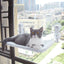 Cat Window Hammock - Suction Cup Perch Bed for Sunny Naps & Bird Watching