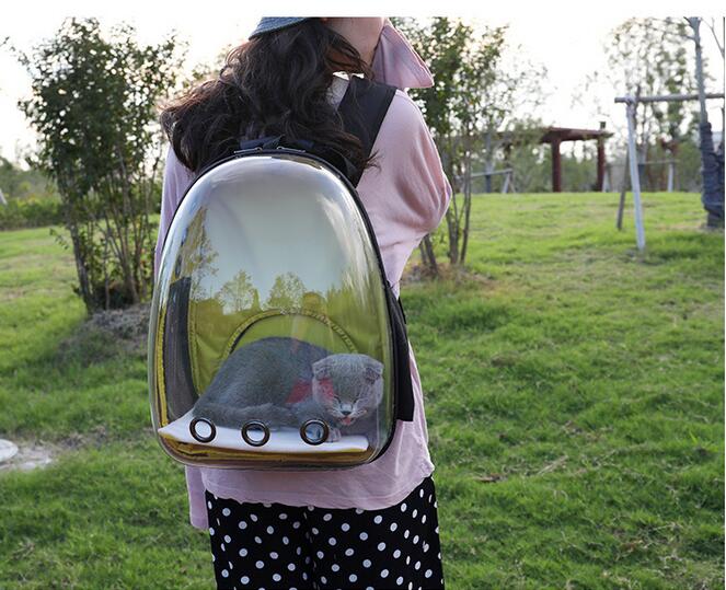 Transparent Pet Carrier Backpack - Bubble Window Travel Bag for Cats & Small Dogs