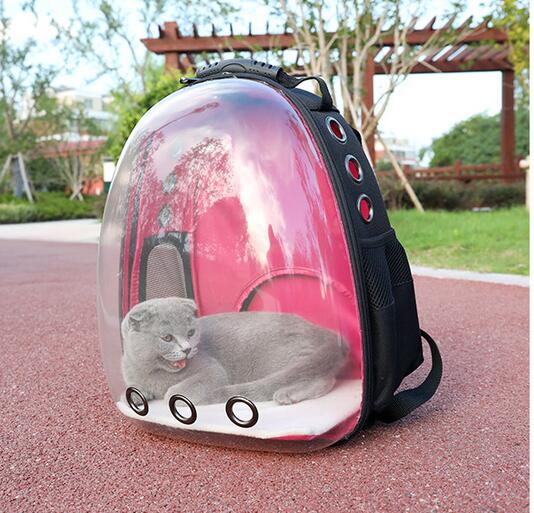 Transparent Pet Carrier Backpack - Bubble Window Travel Bag for Cats & Small Dogs