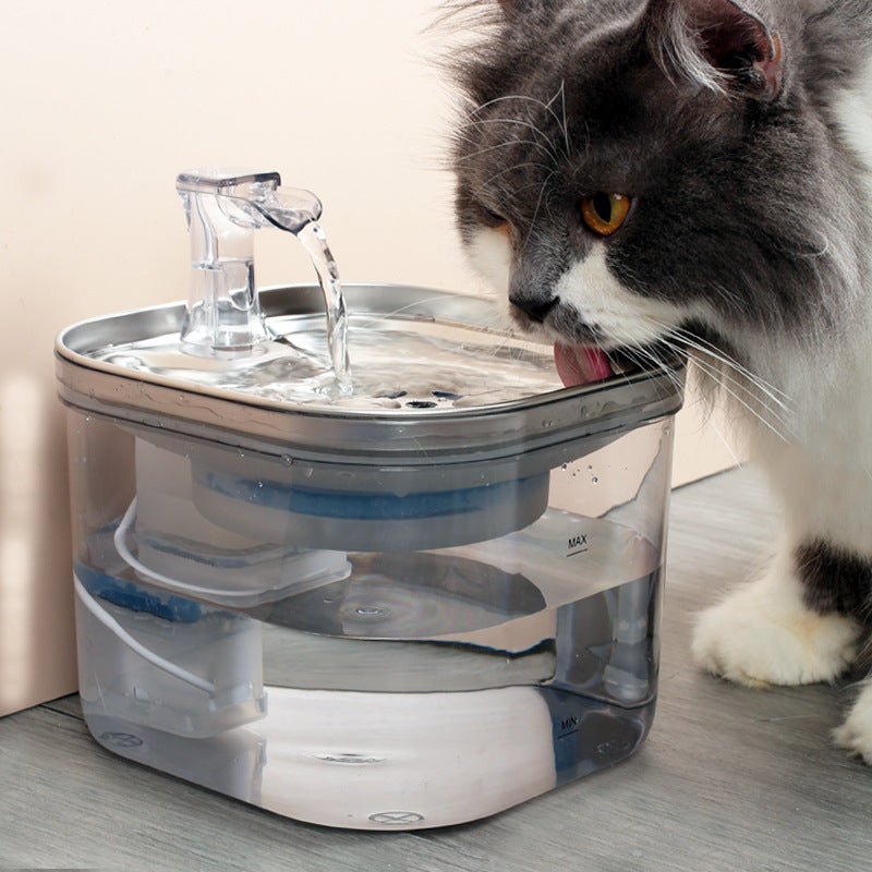 Stainless Steel Pet Water Fountain - 2L Automatic Circulation Dispenser for Cats & Dogs