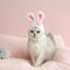 Cute Rabbit Ears Pet Hat - Plush Easter Bunny Headwear for Cats & Dogs