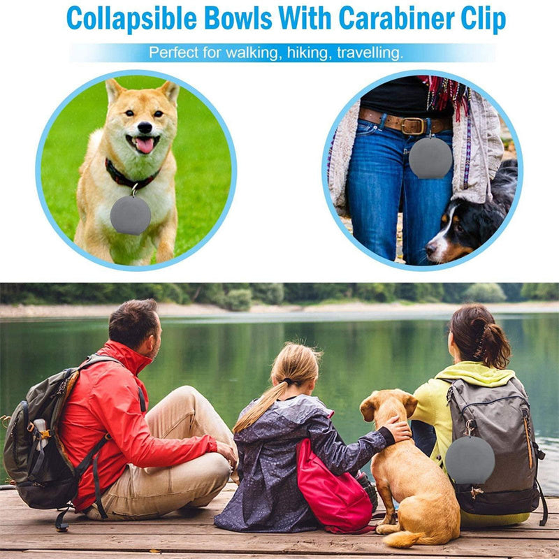 Collapsible Double Pet Bowl - Portable Silicone Travel Food & Water Bowls with Mat