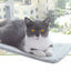 Cat Window Hammock - Suction Cup Perch Bed for Sunny Naps & Bird Watching