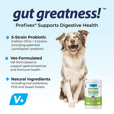Probiotic Chews for Dogs - Digestive Health Supplement for Healthy Gut & Immunity