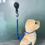 Pet Grooming Restraint Loop - Adjustable Bathing Sling for Dogs & Cats
