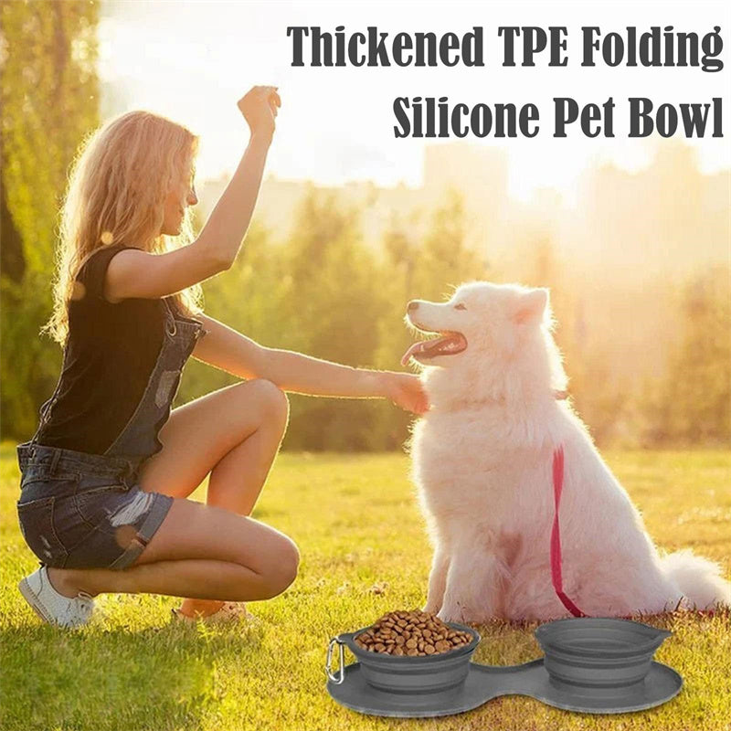 Collapsible Double Pet Bowl - Portable Silicone Travel Food & Water Bowls with Mat