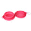 Collapsible Double Pet Bowl - Portable Silicone Travel Food & Water Bowls with Mat
