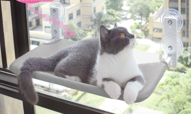 Cat Window Hammock - Suction Cup Perch Bed for Sunny Naps & Bird Watching